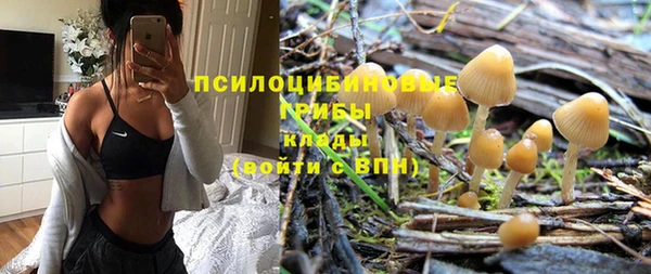 винт Касимов
