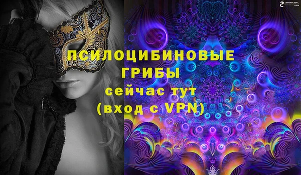 a pvp Каменск-Шахтинский