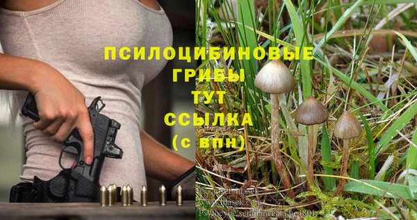 винт Касимов