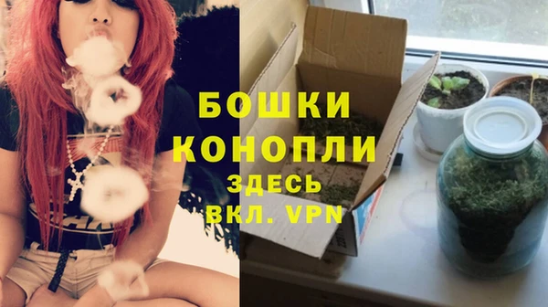 ГАЛЛЮЦИНОГЕННЫЕ ГРИБЫ Каменка