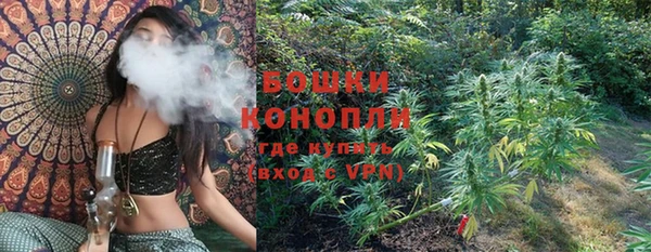 ГАЛЛЮЦИНОГЕННЫЕ ГРИБЫ Каменка