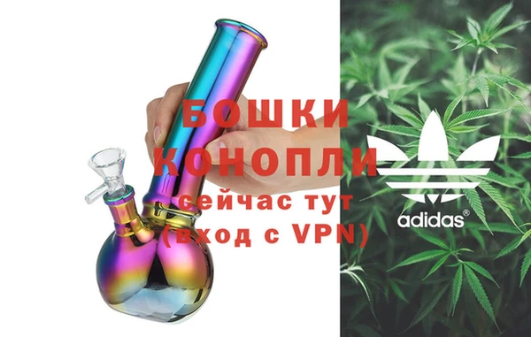 МДПВ Каменногорск