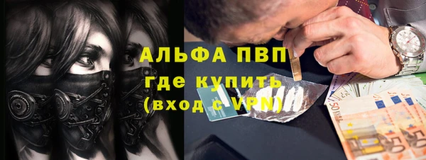 МДПВ Каменногорск